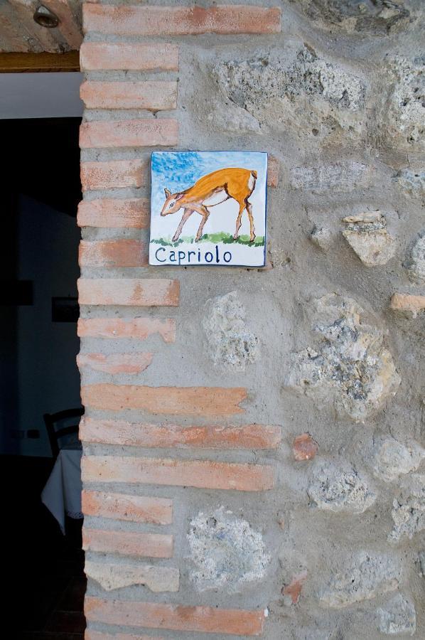 Agriturismo Fontesettimena Appartamento Rondine- Appartamento Capriolo ヴォルテッラ エクステリア 写真